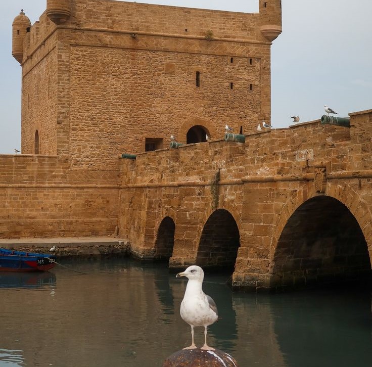 solutions digitales tourisme Essaouira